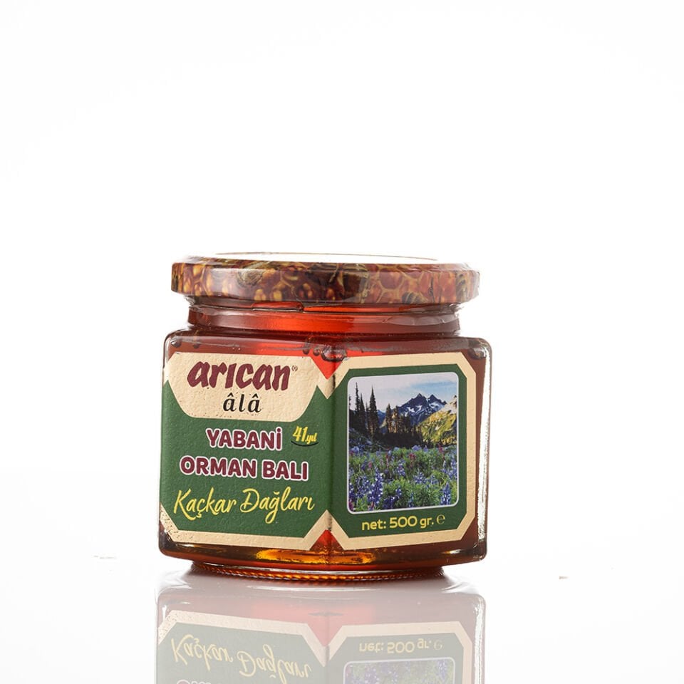 Kaçkar Yabani Orman Balı (500 gr)