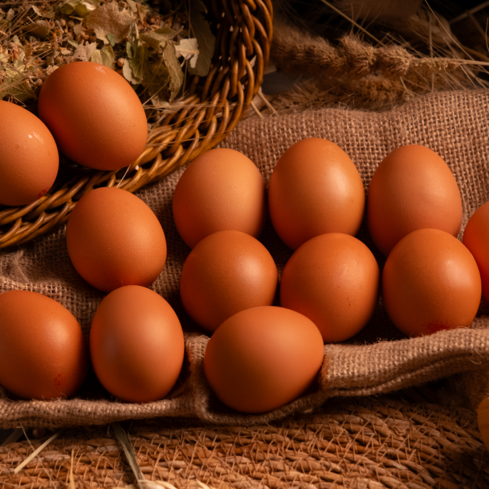 Urla Balıklıova Köyü Organik Yumurta 10'lu