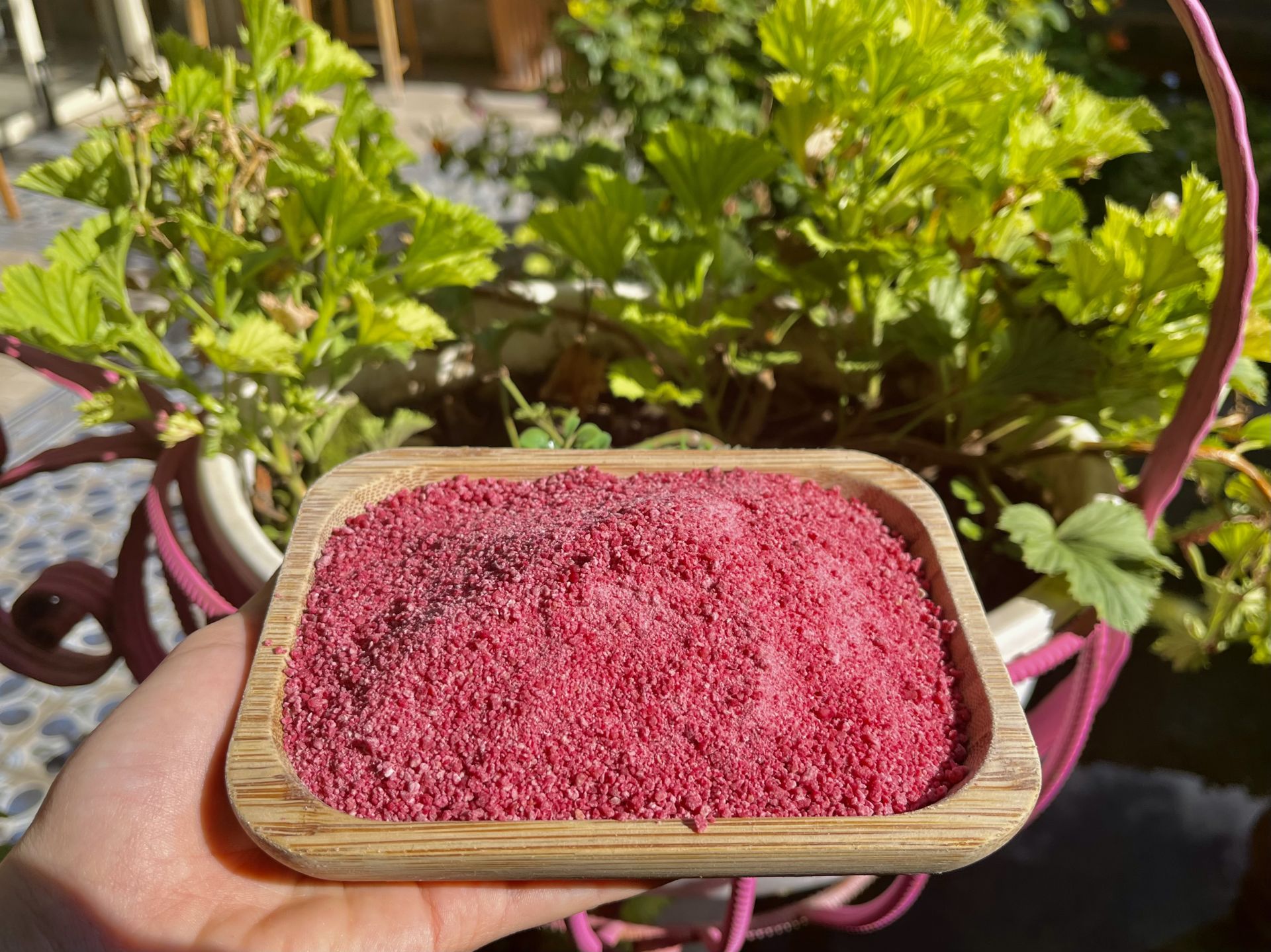 Bolu Kızılcık Tarhanası (500 gr)