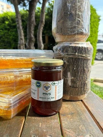 Muş Karlı Yayla Organik Çam Balı (850 gr)