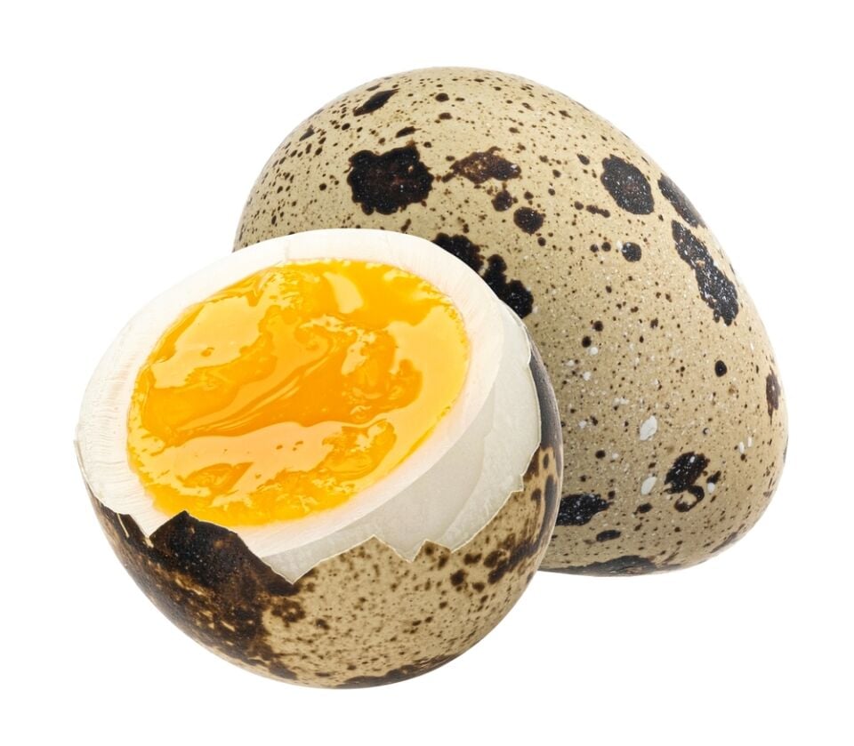 Bıldırcın Yumurtası 12'li