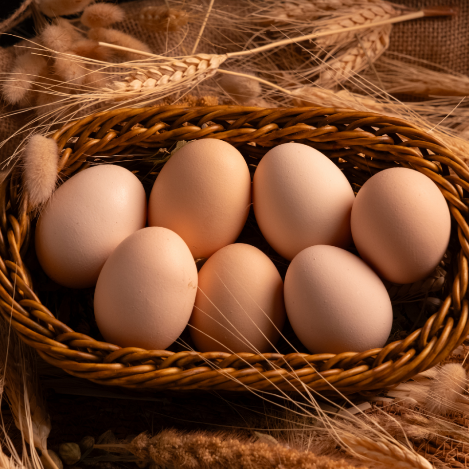 Çilli Ege Köy Gezen Tavuk Yumurtası 15'li