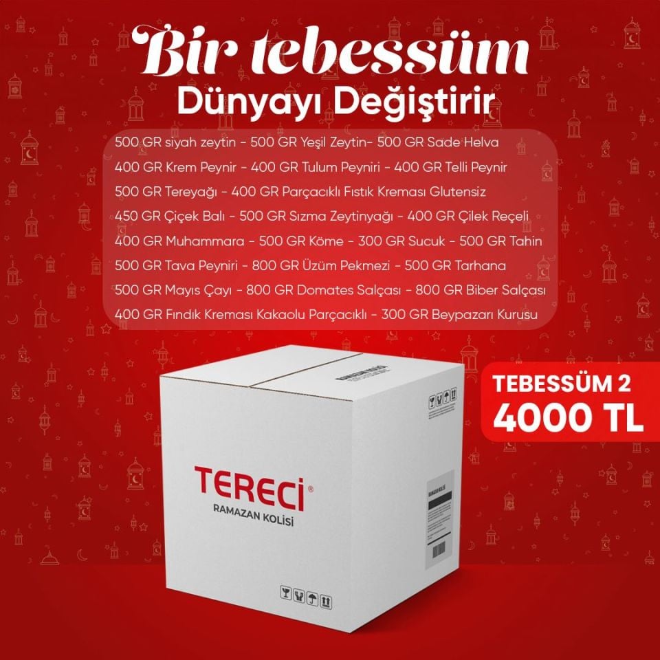 Tebessüm 2