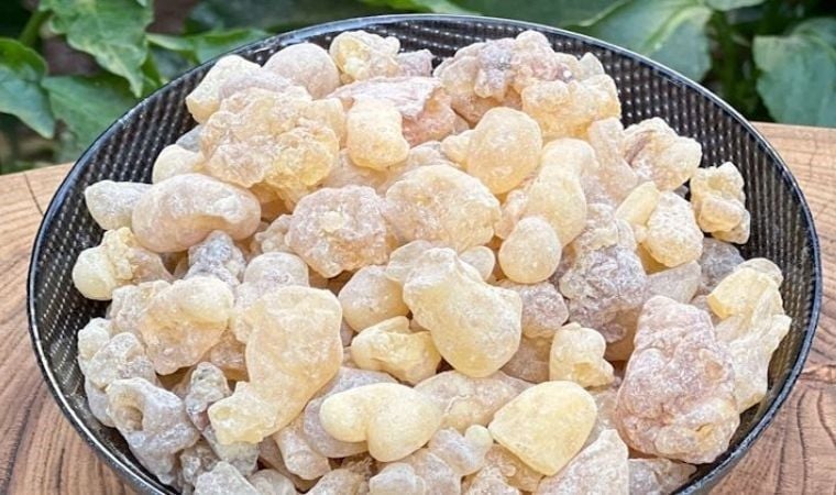 Akgünlük (50 gr)