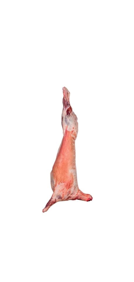 Adaklık Kuzu (35- 40 kg)
