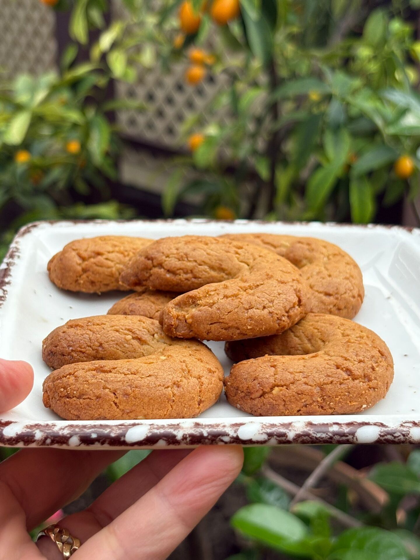 Fındıklı Kahke (450 gr)