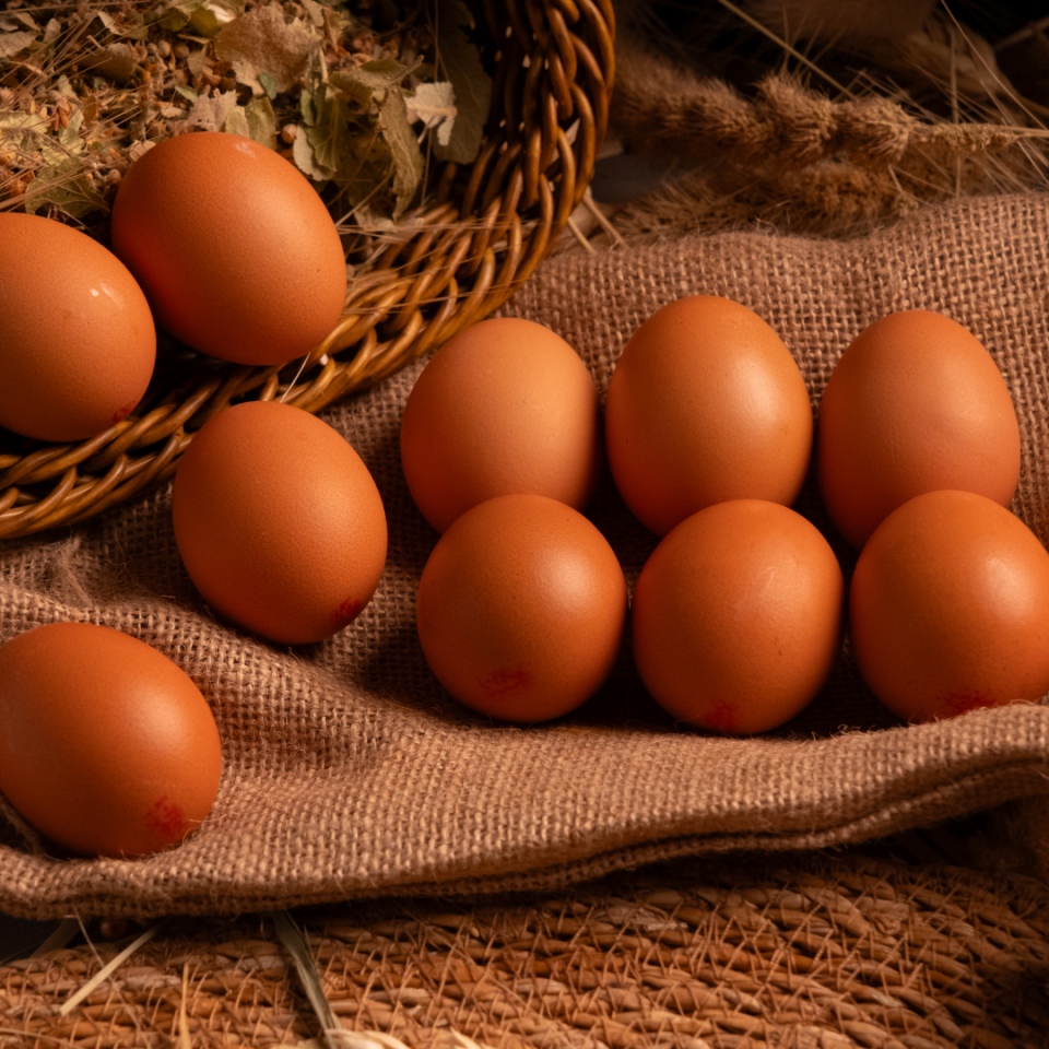 Balıklıova Bahçe Tavuğu Yumurtası (30'lu