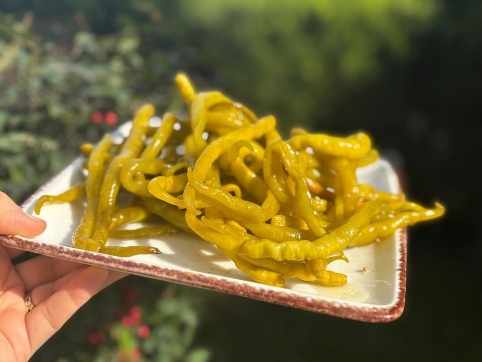 Bitlis Biber Turşusu (500 gr)