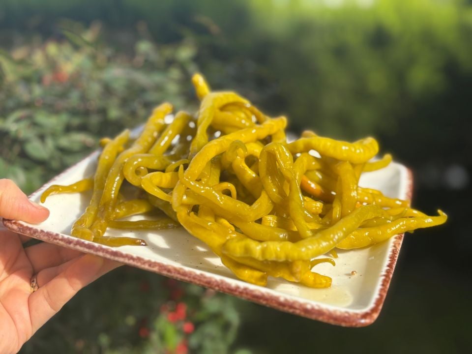 Bitlis Biber Turşusu (500 gr)