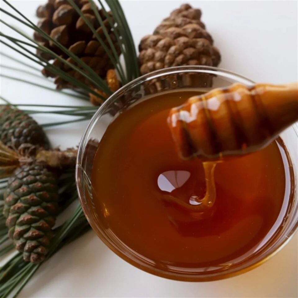 Naturel Çam Balı (850 gr)