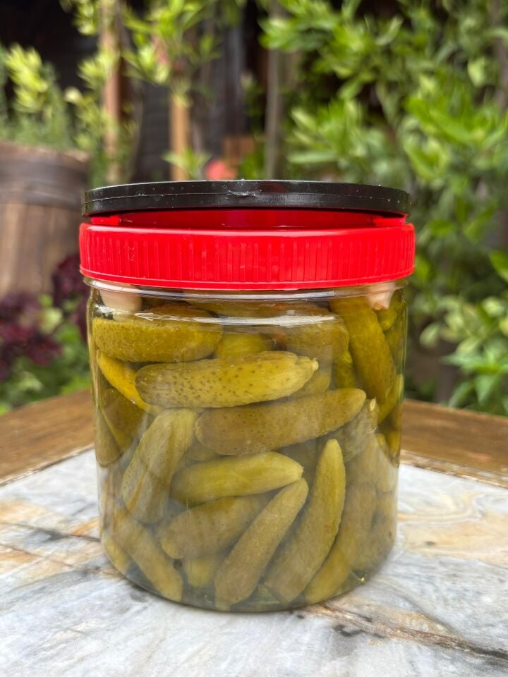 Bursa Kornişon Turşu (600 gr)