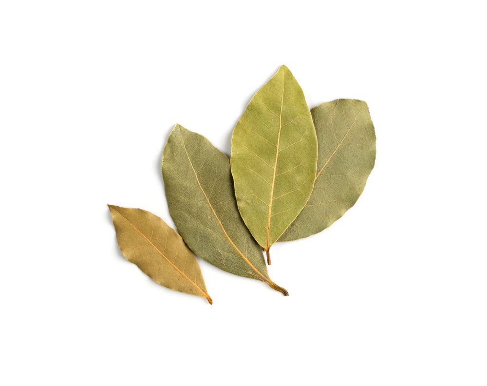 Defne Yaprağı (30 gr)